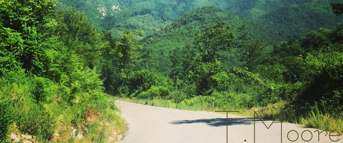 A winding road through a mountainous landscape with dense green forests and clear blue skies.