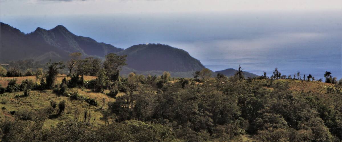 A mountainous landscape with dense vegetation and a clear sky.