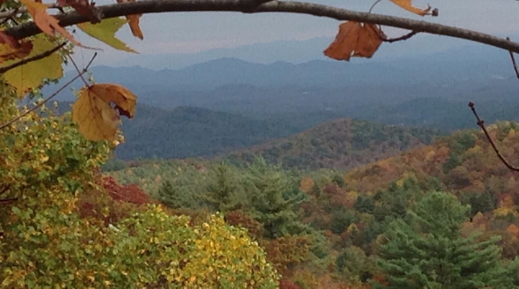 The Cohutta Wilderness is so beautiful and the elevation is great enough to get spectacular views when you come across a break like this. Fill up with gas and you probably won't have cell service. Excellent time to disconnect!