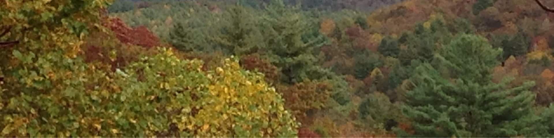The Cohutta Wilderness is so beautiful and the elevation is great enough to get spectacular views when you come across a break like this. Fill up with gas and you probably won't have cell service. Excellent time to disconnect!
