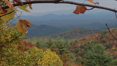 The Cohutta Wilderness is so beautiful and the elevation is great enough to get spectacular views when you come across a break like this. Fill up with gas and you probably won't have cell service. Excellent time to disconnect!