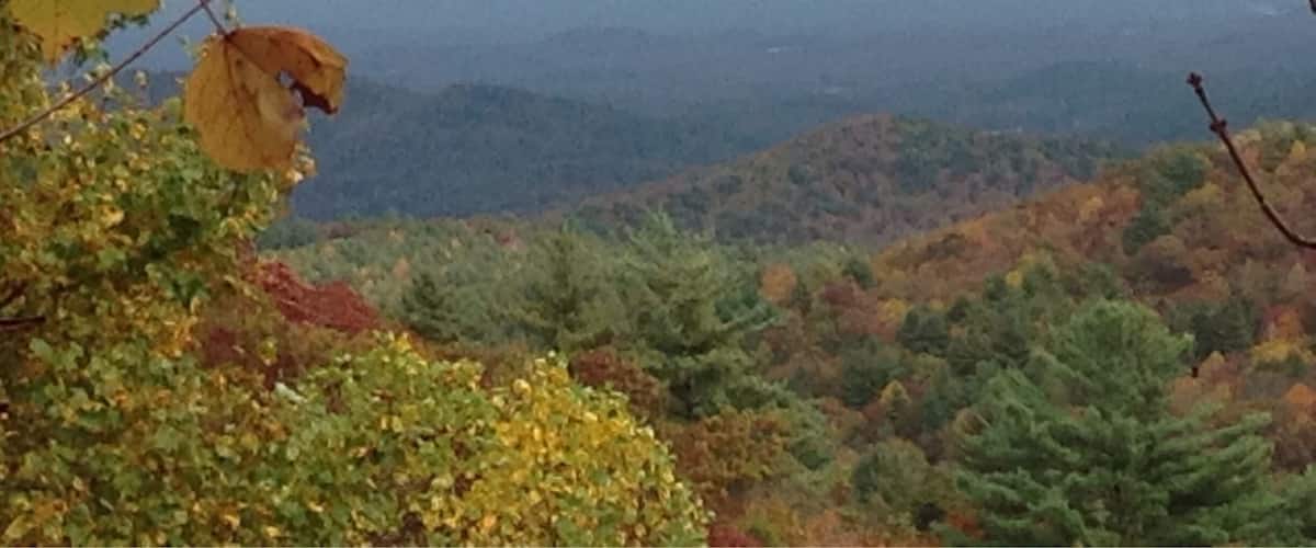 A tree branch with autumn leaves against a backdrop of a mountainous landscape.