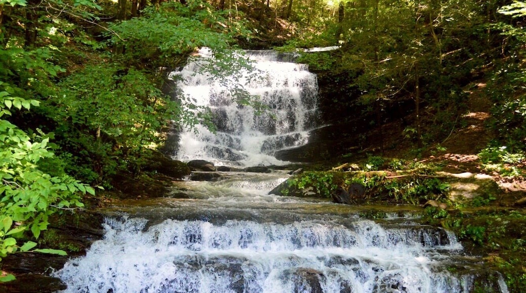 Found this random but gorgeous waterfall!
#waterfall #outdoor #nature #exploring