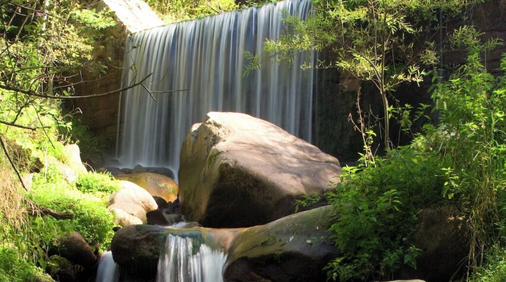 I've lost my polarized cap to take this shot...