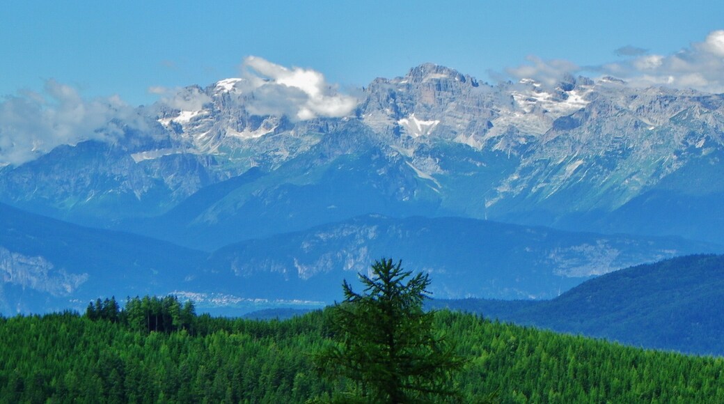 38040 Valfloriana, Province of Trento, Italy