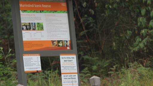 Murrundindi Reserve is a beautiful and isolated camping ground. It is also a popular location for those wanting to explore the nearby forest.
#localgem