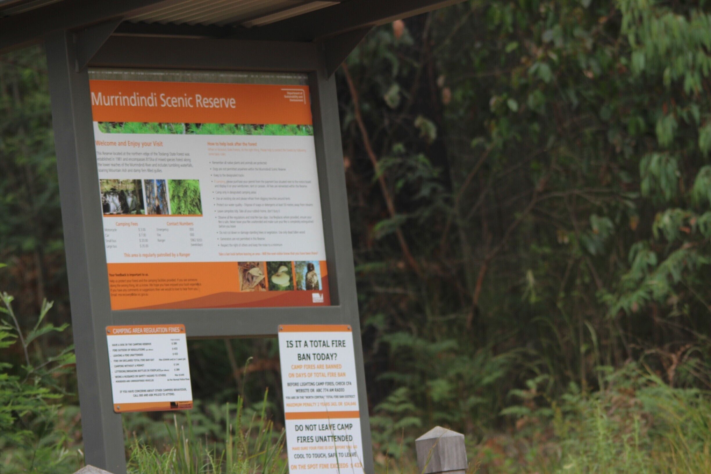 A signboard with information about Murrindindi Scenic Reserve, including camping fees and regulations.