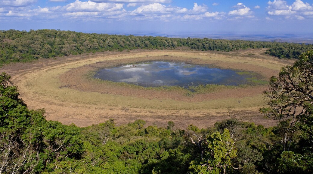 Crater at Marsabit National Park and Reserve, Marsabit District, Kenya