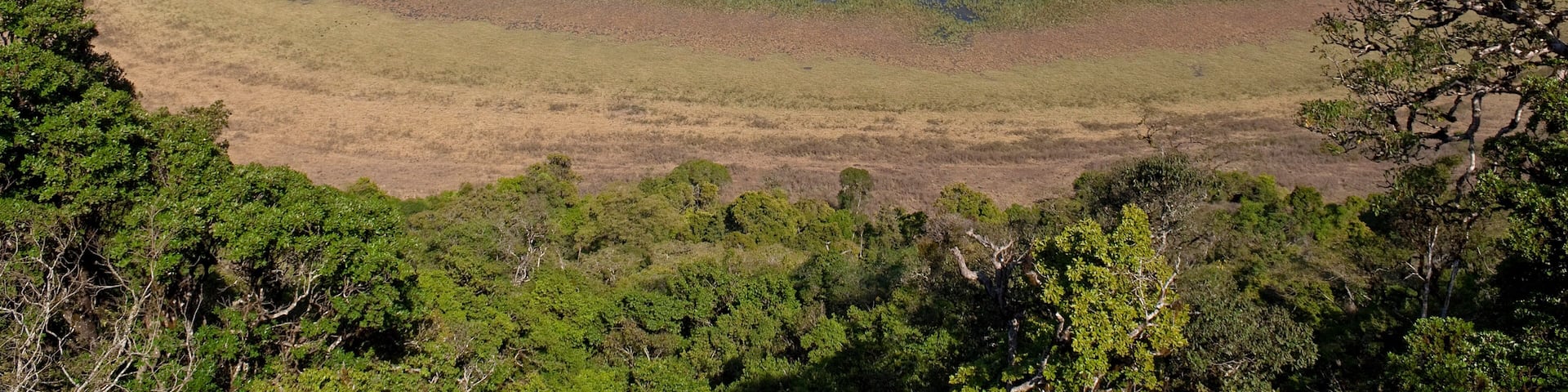 Crater at Marsabit National Park and Reserve, Marsabit District, Kenya