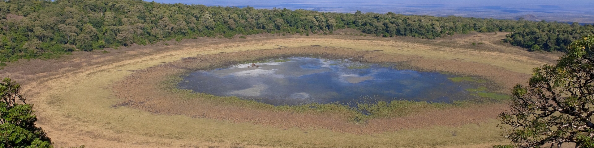 Crater at Marsabit National Park and Reserve, Marsabit District, Kenya