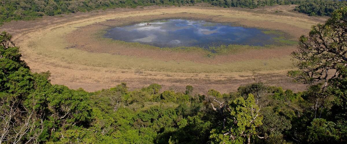 A vast savanna landscape with a large water body surrounded by dense forest.