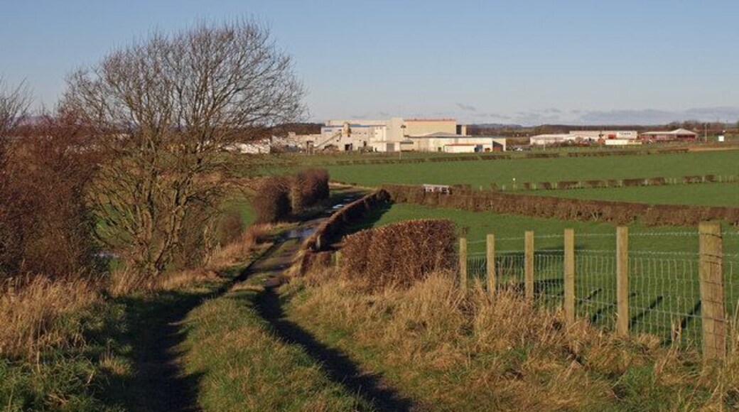 Farm Track, Dundonald Looking towards the Olympic Complex. The main factory being Lamar Products, supplying the printed circuit board industry.