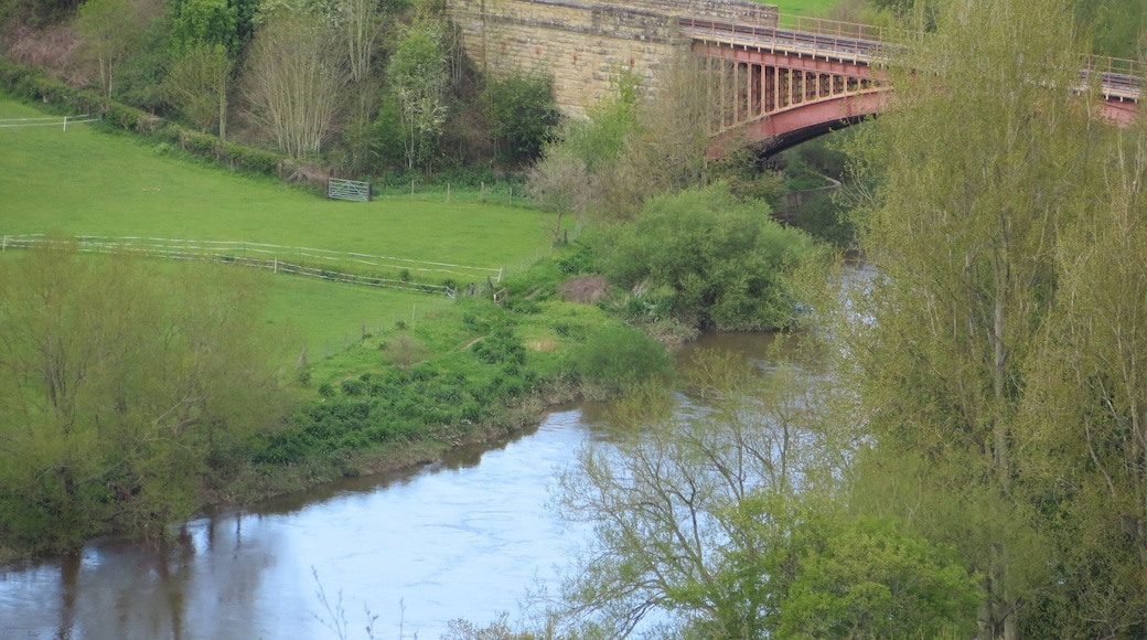 Part of Victoria Bridge - May 2012