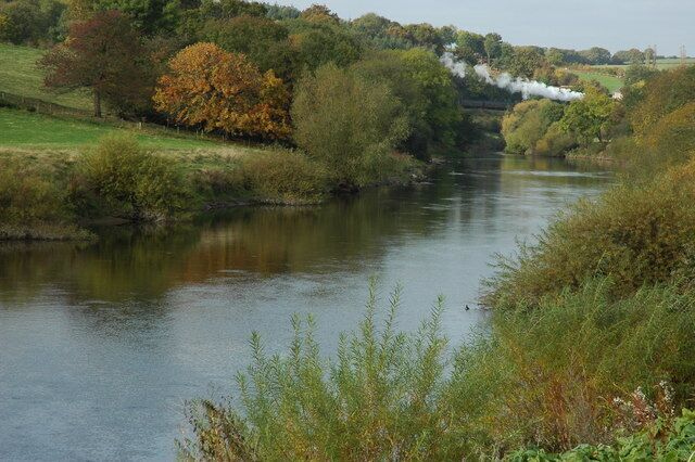 A river with a bridge in the background, surrounded by trees and greenery.