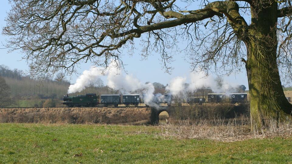 A steam train with multiple carriages moving through a rural landscape, passing under a bridge.