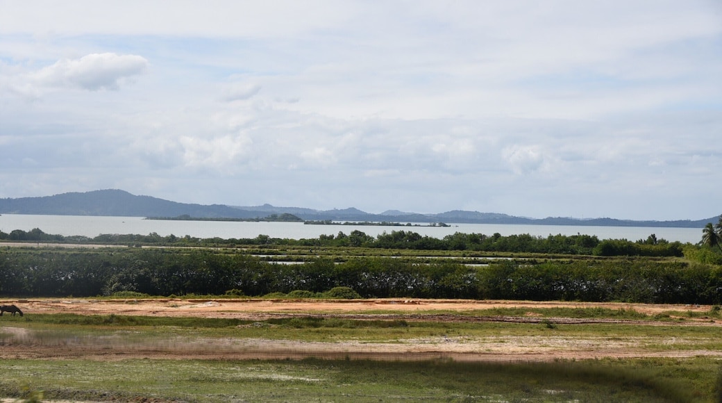 Saubara
Bahia
#saubara #bahia #travel #destinos #RosildaCruz
https://www.facebook.com/culturabaiana/?fref=ts