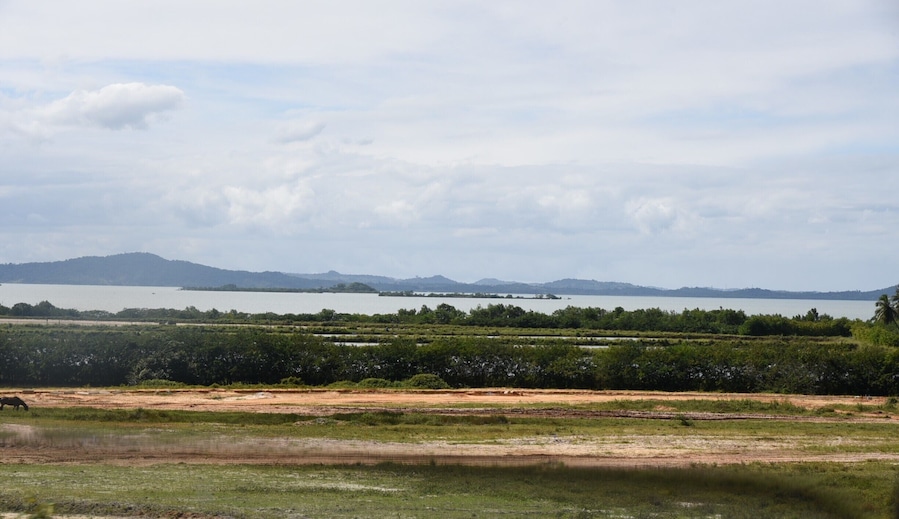 Saubara
Bahia
#saubara #bahia #travel #destinos #RosildaCruz
https://www.facebook.com/culturabaiana/?fref=ts