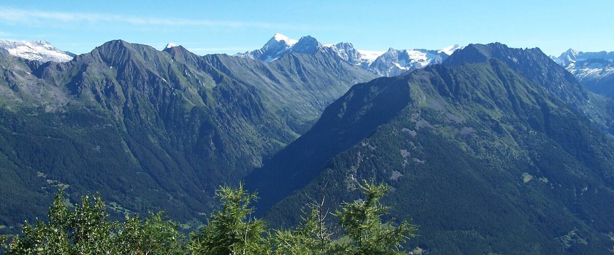 A mountain range with snow-capped peaks and dense forested valleys.