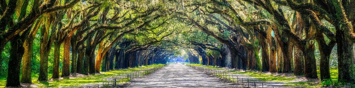 Mystic Wormsloe