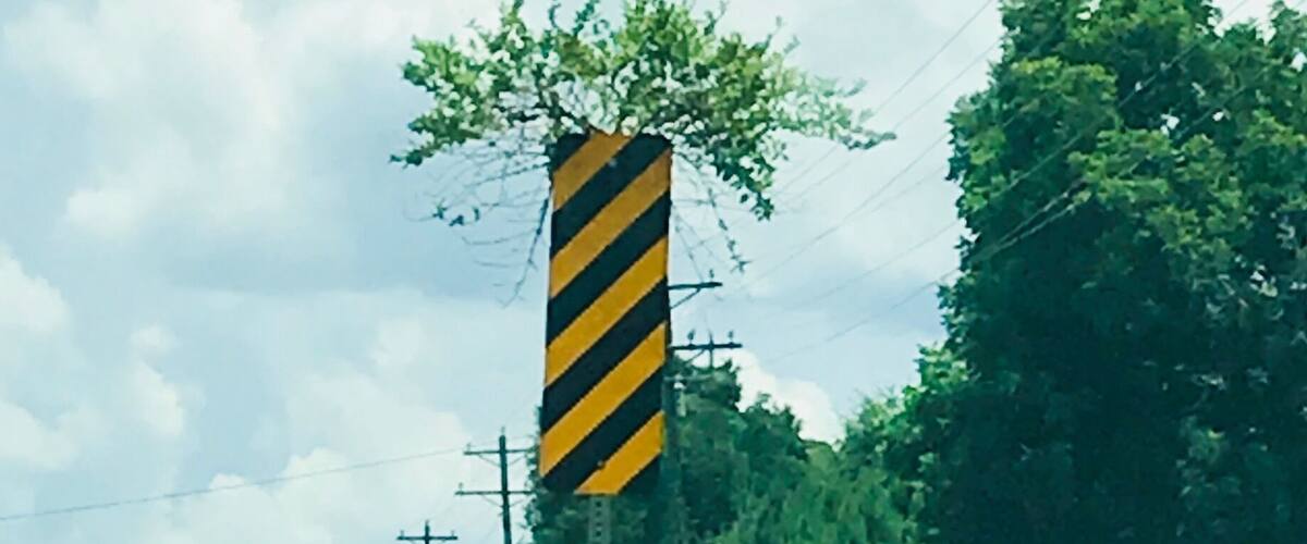 A road sign with a yellow and black striped pattern, surrounded by greenery and trees.