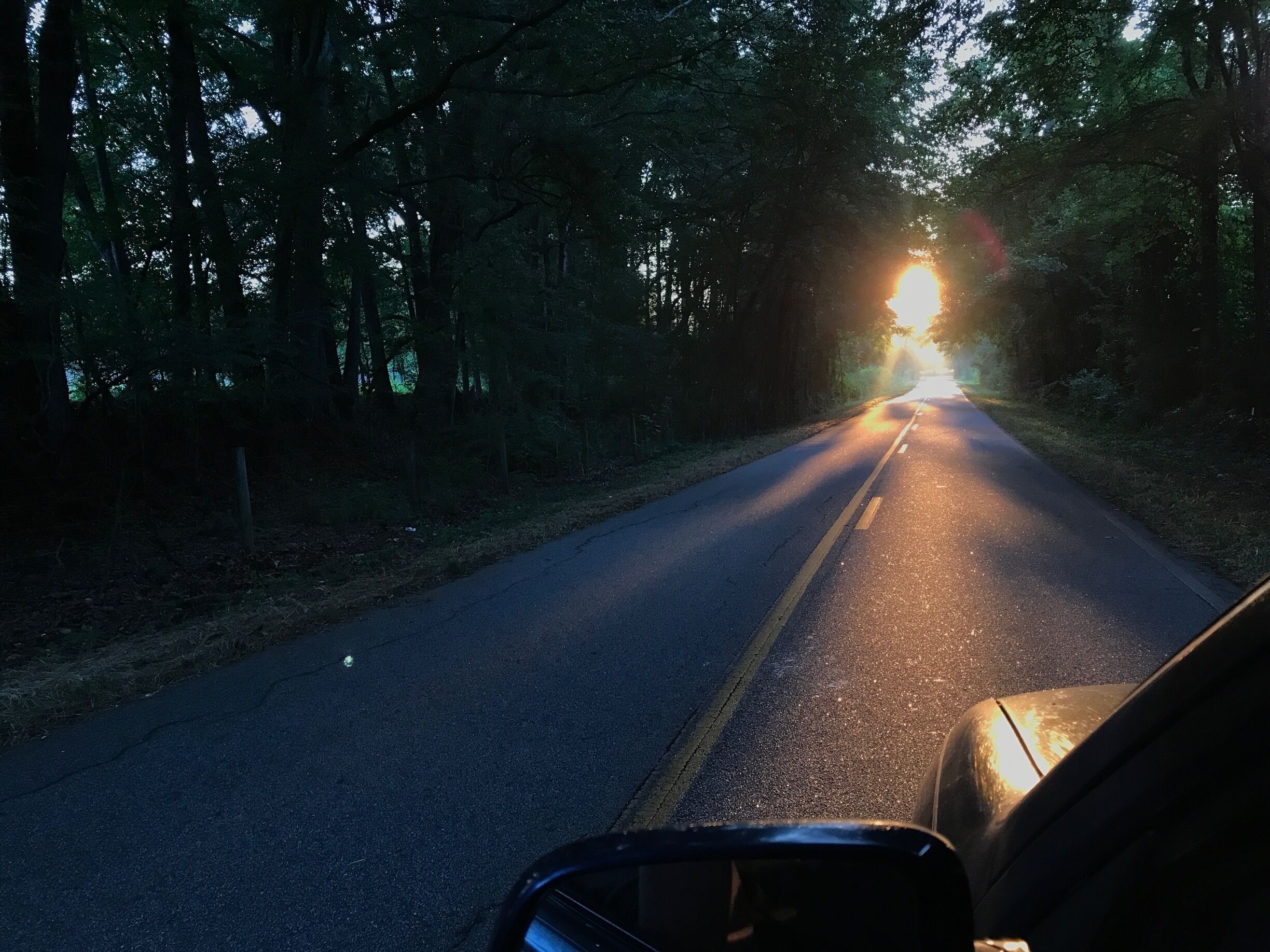 Trying to find inspiration in the hills of Georgia 