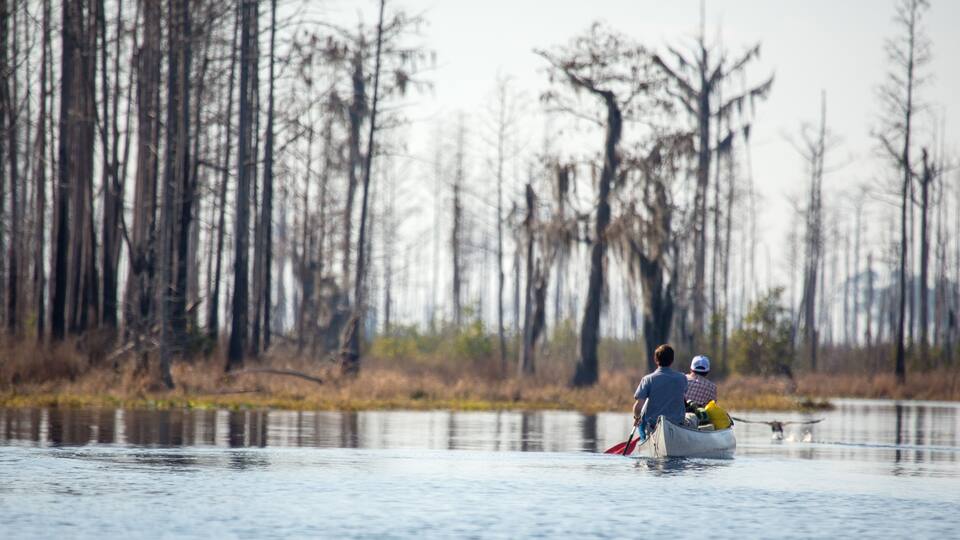 A couple in a canoe on a calm body of water with tall, leafless trees in the background.