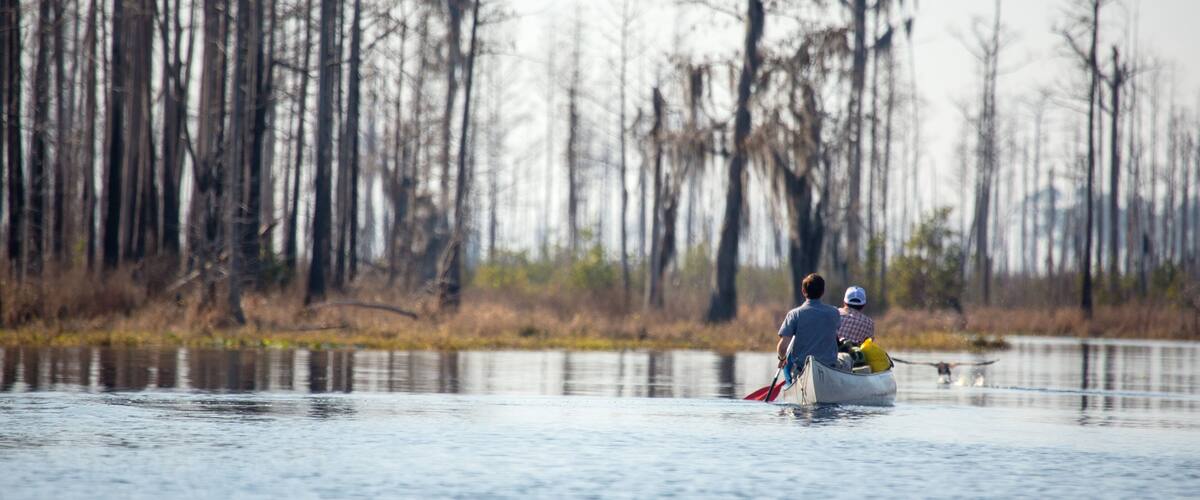A couple in a canoe on a calm body of water with tall, leafless trees in the background.