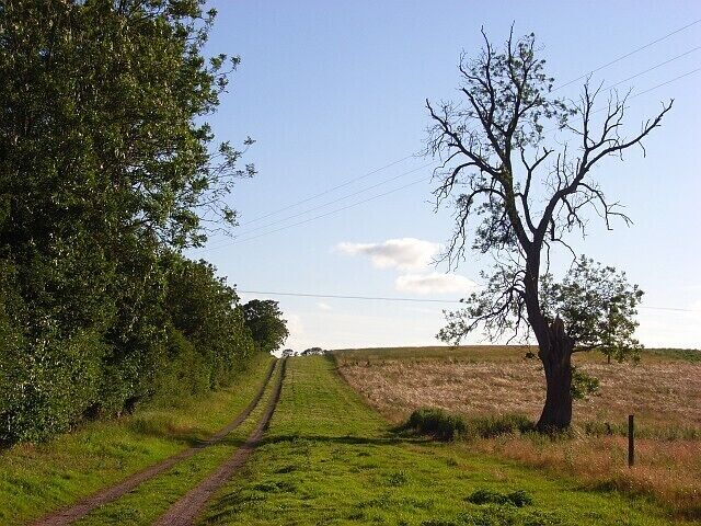 Track, Goodworth Clatford Climbing above the River Anton to the north of the village. The track is signed as leading to Warrenfield Farm which is not marked on any OS maps.