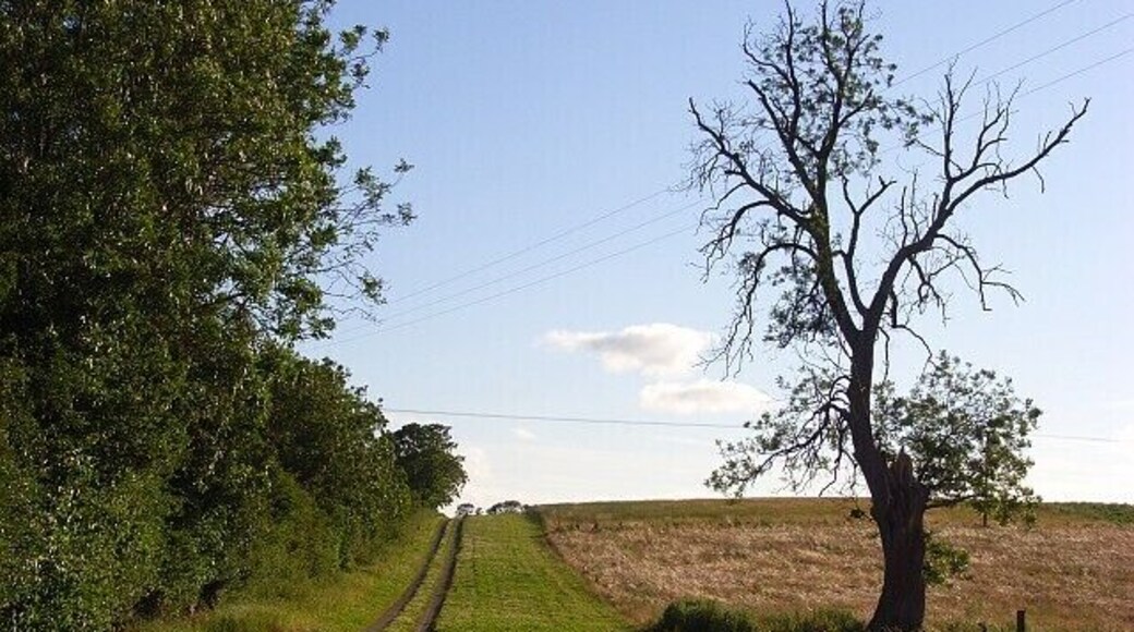 Track, Goodworth Clatford Climbing above the River Anton to the north of the village. The track is signed as leading to Warrenfield Farm which is not marked on any OS maps.