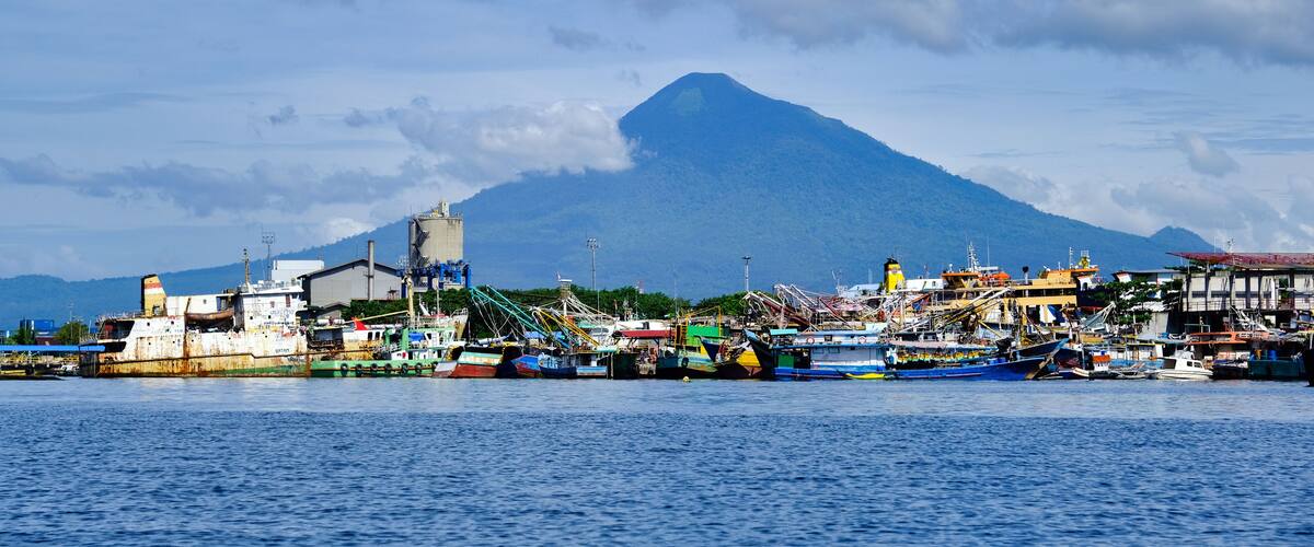 A coastal town with fishing boats docked, a large mountain in the background, and a clear sky.