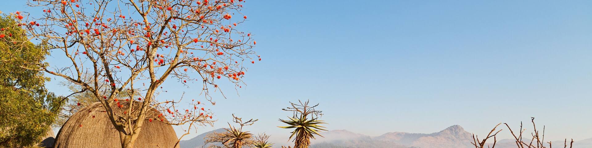in swaziland wildlife nature reserve