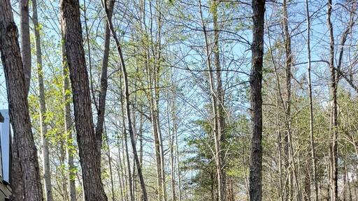 We rented a little cabin up there near Fort pane Alabama and DeSoto And Ruby falls it was spring break 2019 we love the outdoor feeling all around us just a nices area to rent an relaxes. If you want want to rent it just ask i get you there number beautiful.