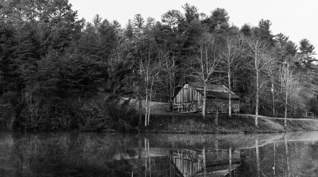 Reflections of the Abandoned in Black and White
