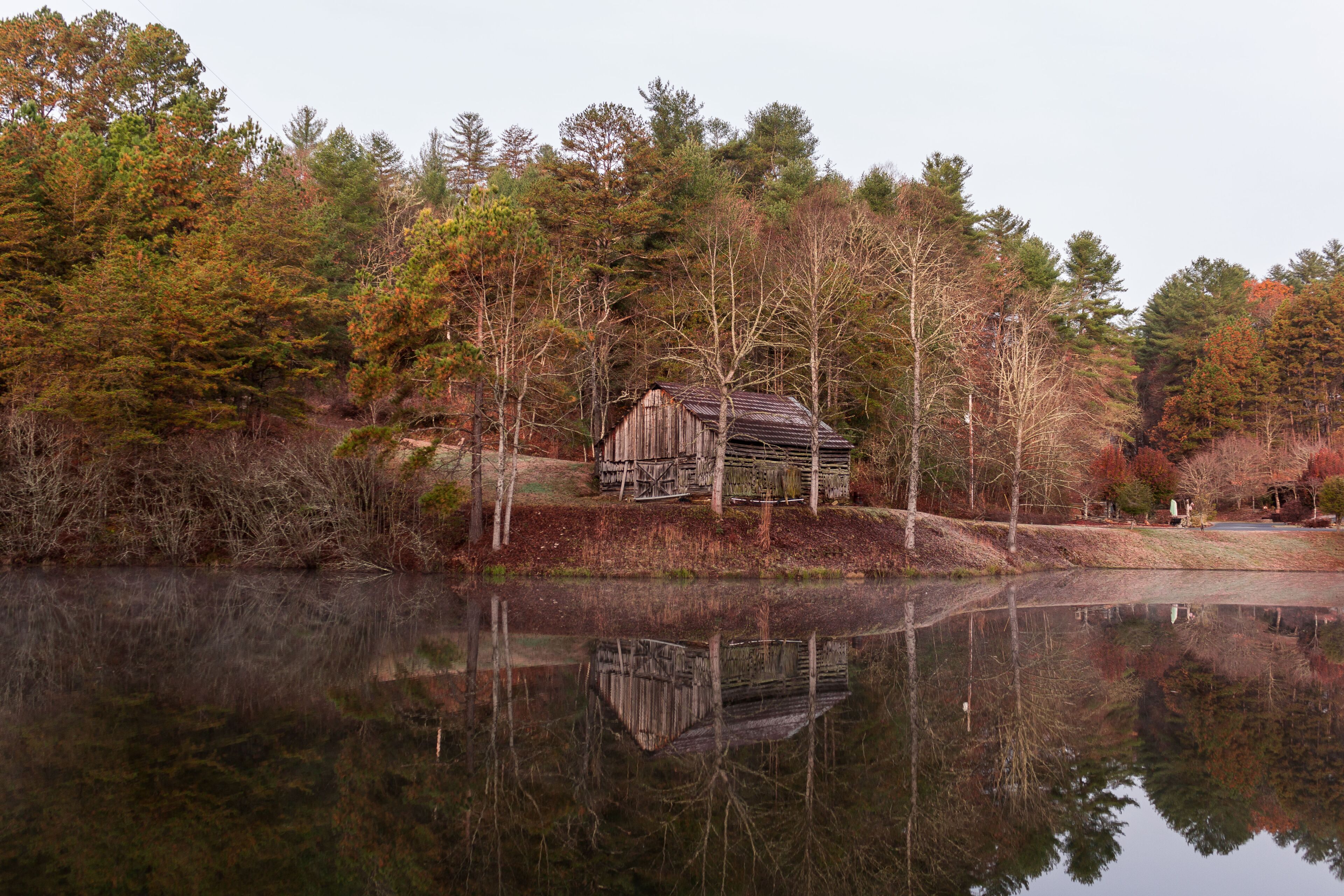 Reflections of the Abandoned