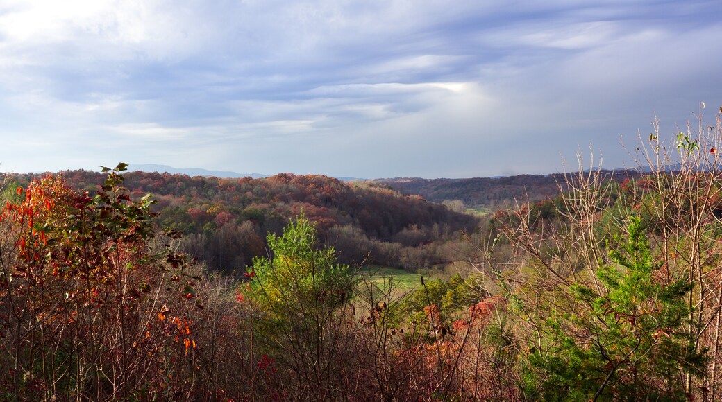 Landscape view of a house in Blue Ridge Georgia, USA surrounded by red and orange landscape at the end of Fall.