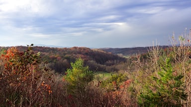 Landscape view of a house in Blue Ridge Georgia, USA surrounded by red and orange landscape at the end of Fall.