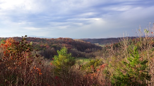 Landscape view of a house in Blue Ridge Georgia, USA surrounded by red and orange landscape at the end of Fall.