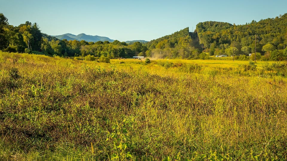 A field with hay bales, a house, and a forested hill in the background.