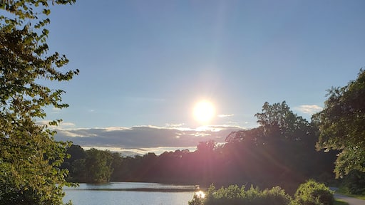 I was walking my dog when I saw this beautiful view of the sun going down. I believe it's one of the best photos I've taken. So breathtaking!