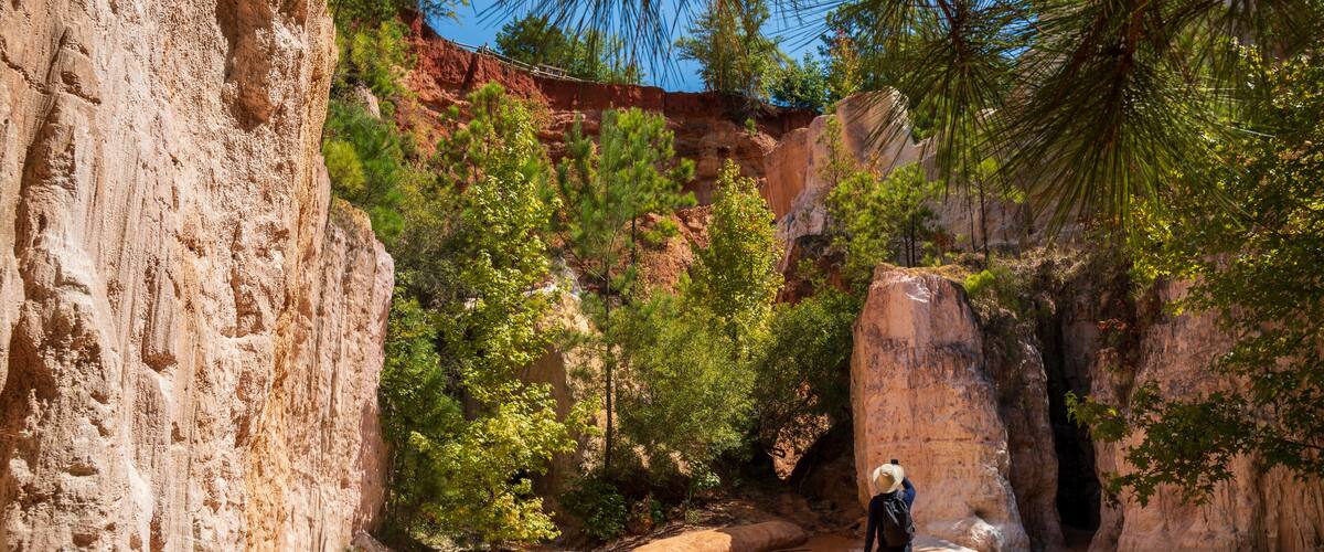 A person walking through a canyon with red rock formations and green trees.