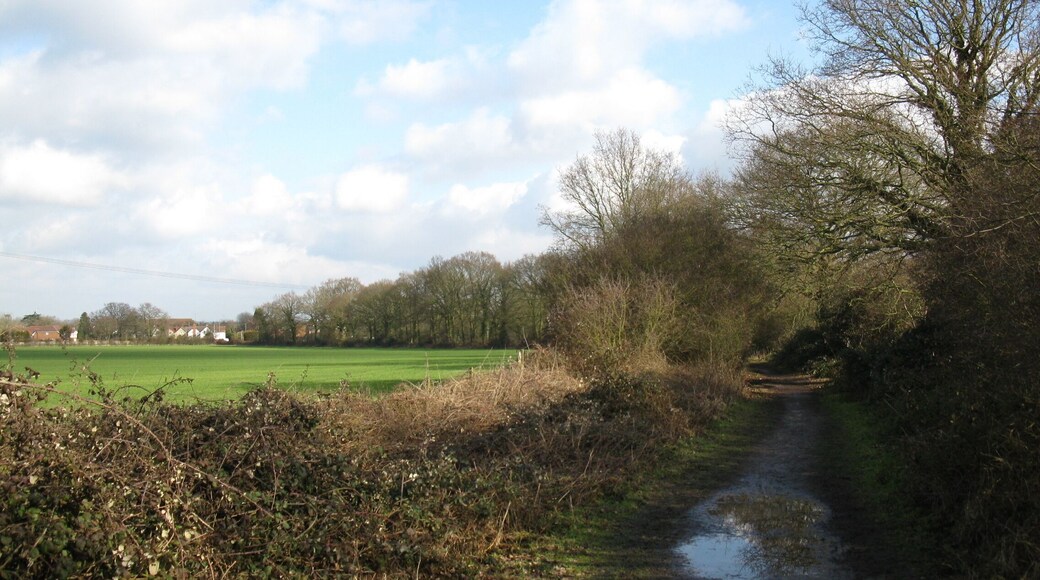 Sadler's Lane Although called a lane, it is not open to through traffic. Some parts of the lane are very narrow due to the vegetation and only wide enough for pedestrians.
