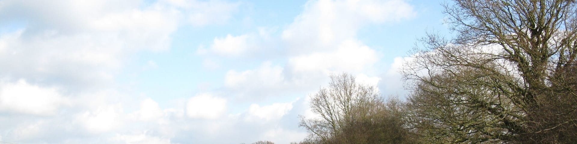 Sadler's Lane Although called a lane, it is not open to through traffic. Some parts of the lane are very narrow due to the vegetation and only wide enough for pedestrians.