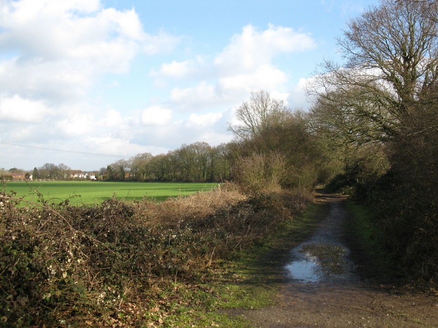 Sadler's Lane Although called a lane, it is not open to through traffic. Some parts of the lane are very narrow due to the vegetation and only wide enough for pedestrians.