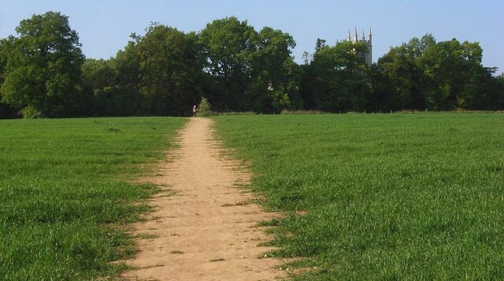 Farmland, Winnersh A footpath through a cereal field approaches the church at Bearwood from Sadlers Lane.