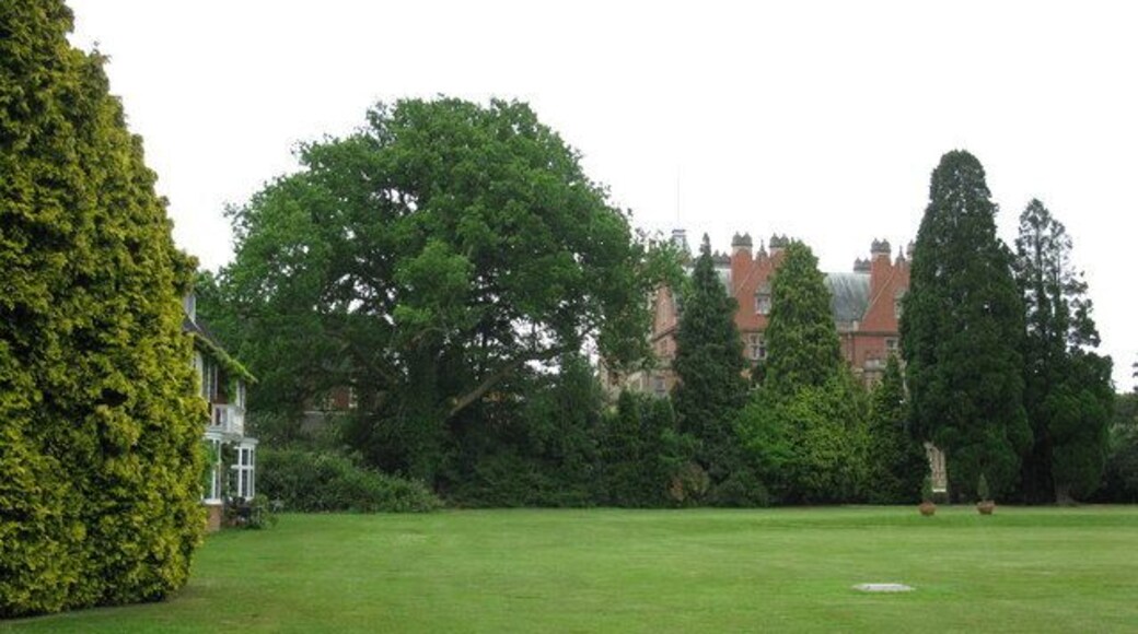Bearwood House Lawn Looking across the lawn with the house behind the trees.