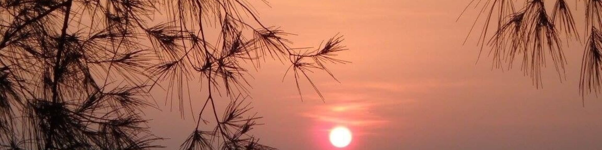 Perfect spot for fishing and viewing the sunset.