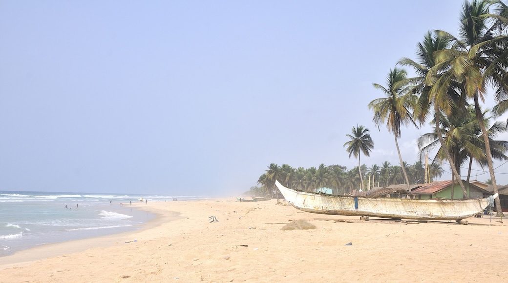 Assinie