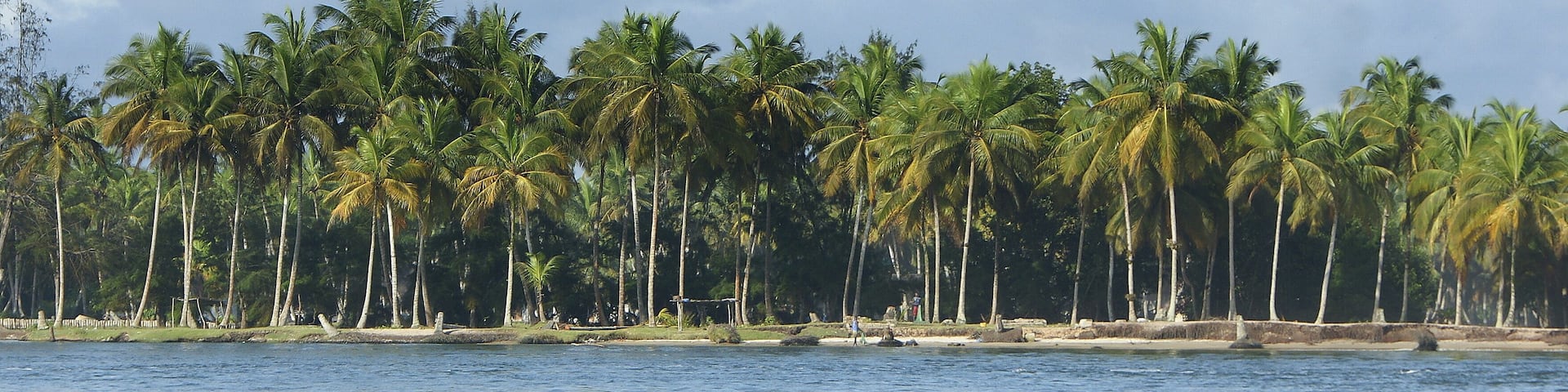 A calm sea with palm trees and a clear sky.