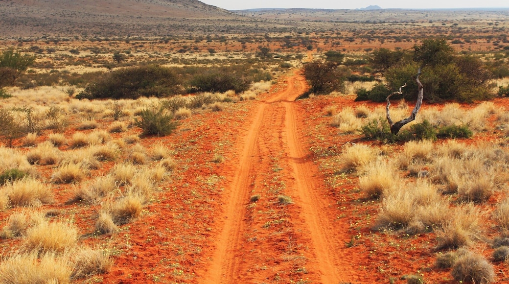Game farm in the Kalahari