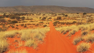 Red dunes of the Kalahari